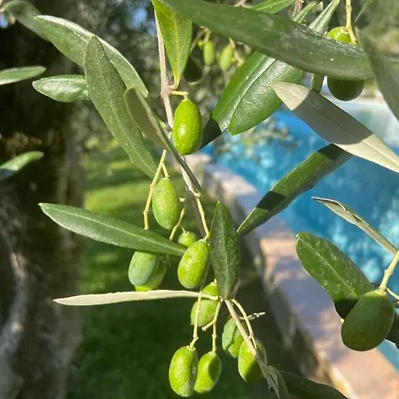 Appartement Villa Malcesine *