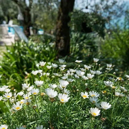 Villa Malcesine 马尔切西内