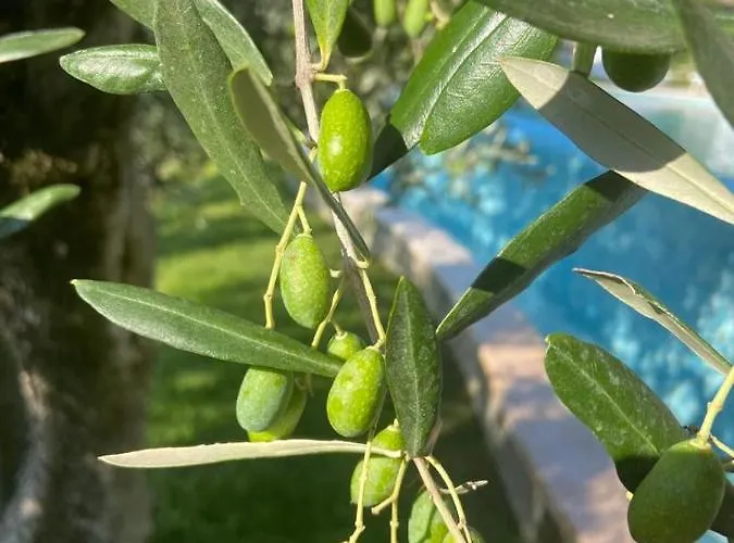 Apartmán Villa Malcesine *