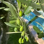 דירה Villa Malcesine *