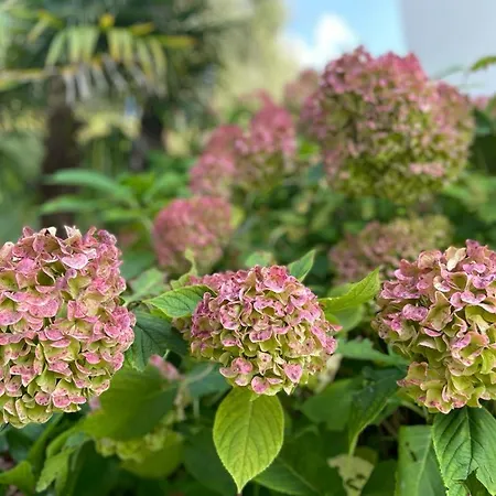 公寓 Villa Malcesine *