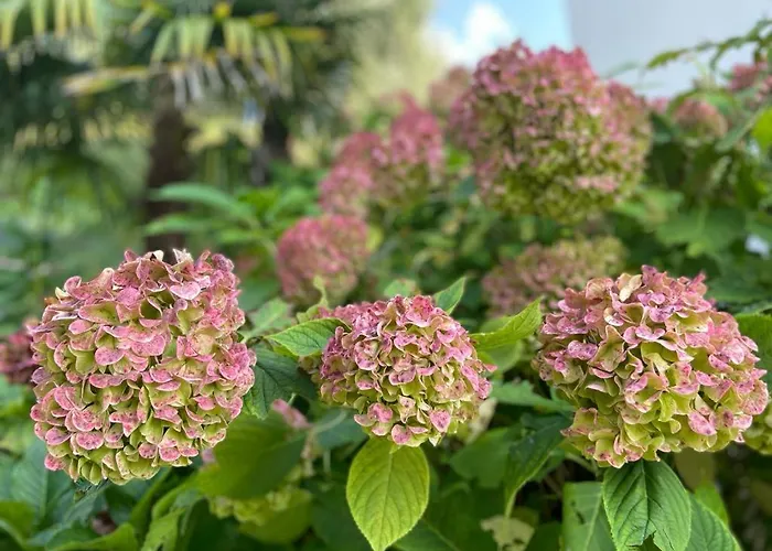 公寓 Villa Malcesine *