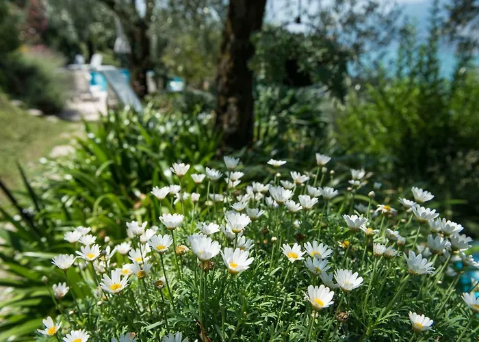 Villa Malcesine Мальчезине